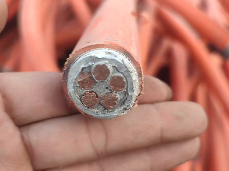 特种电缆回收 欢迎询价
