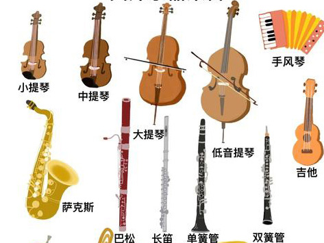 音乐器材  经久耐用 欢迎咨询订购