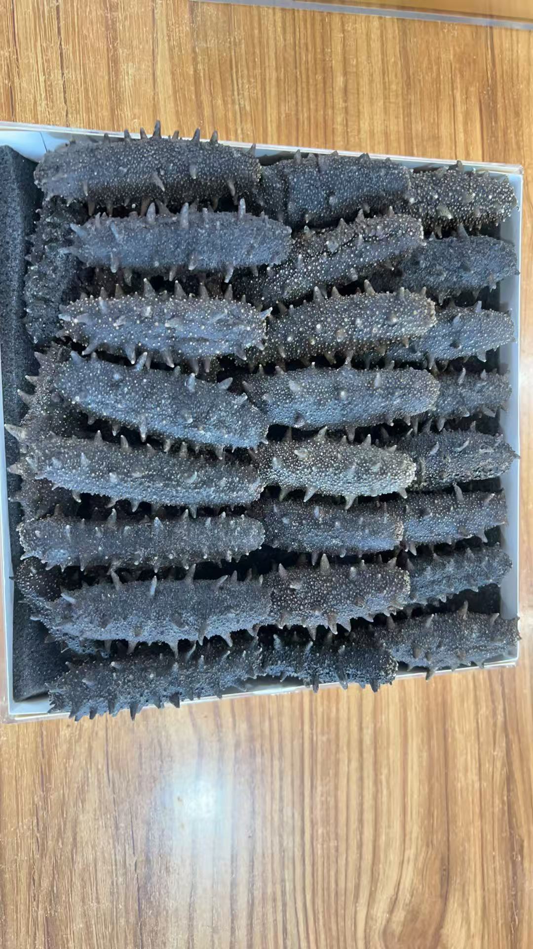 大连海参加工车间实拍